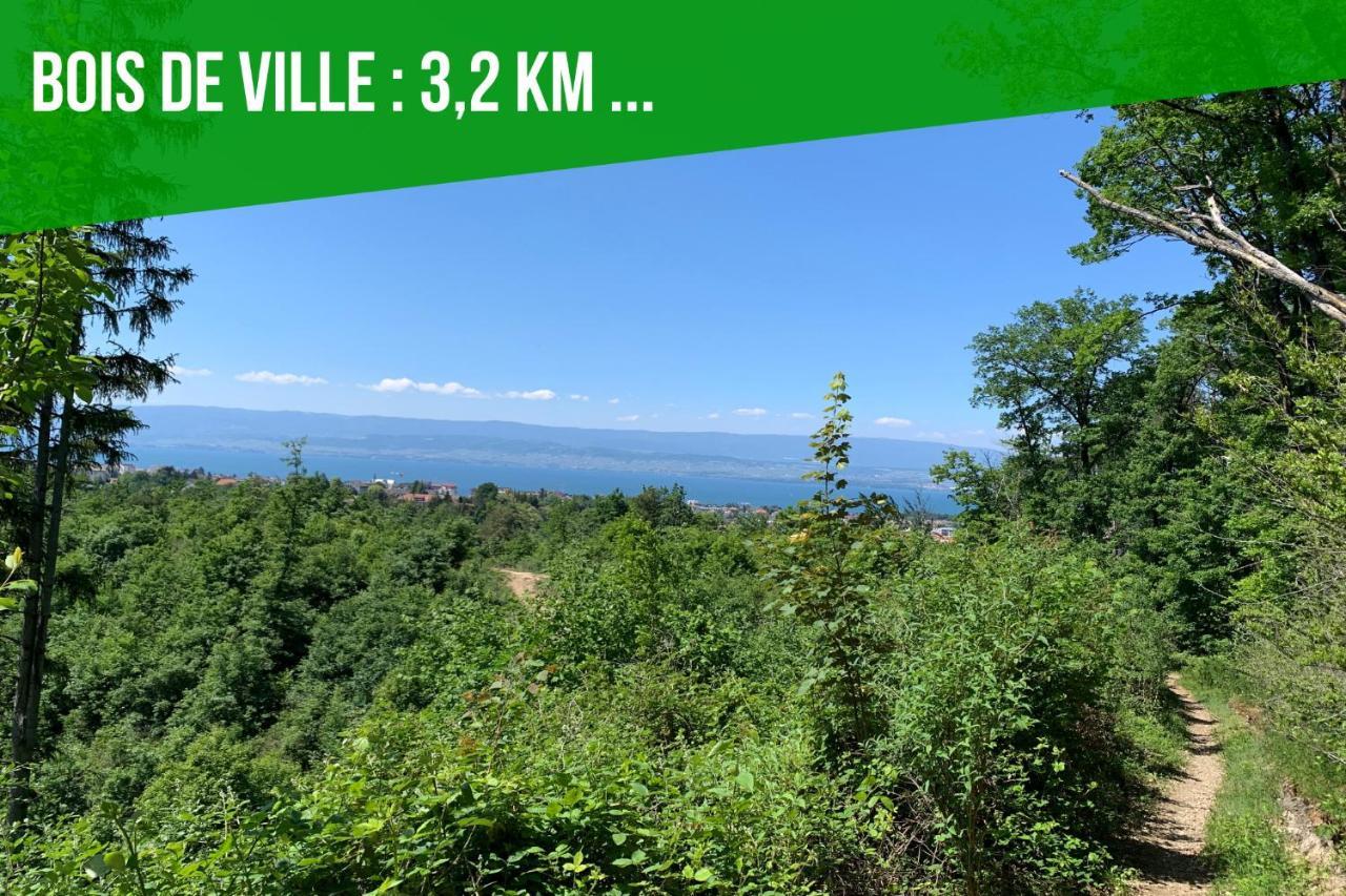 Viva Leman- Hypercentre - Vue Panoramique- Parking - Wifi Lejlighed Thonon-les-Bains Eksteriør billede